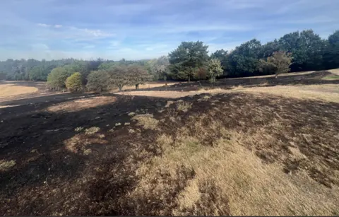 Fire damaged golf course - charred black grass