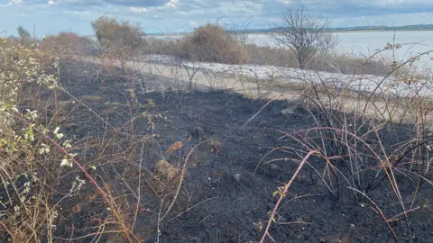 A field fire in East Tilbury