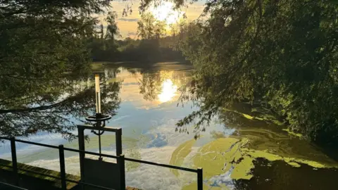 The sun sets on a pond.