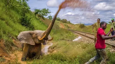 Jasper Doest Un bébé éléphant s'asperge avec sa trompe alors qu'un homme s'enfuit