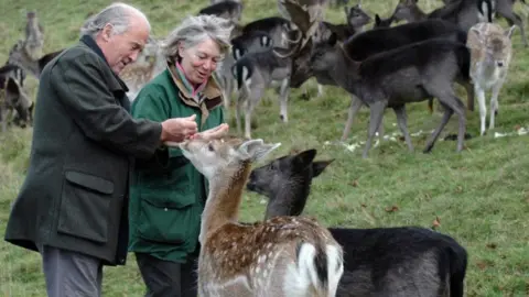 Battersea Park Children's Zoo An grey haired man and woman wearing green jackets feed two deer, one black and the other russet with white spots on its back