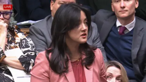 Sarah Owen standing and speaking in the House of Commons chamber. She has has long black hair and is wearing a salmon pink jacket with a red blouse. A number of MPs are looking up to her from the back benches. 