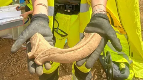 National Highways/AMS Archaeologist holding a large piece of the rim of a Roman cooking vessel