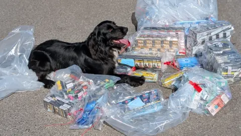 A black cocker spaniel sniffer dog sat next to a haul of illicit vapes and tobacco 
