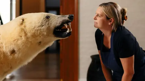 Hull Maritime Museum The side profile of a stuffed polar bear bearing its teeth. A woman with blonde hair tied back and dark clothing is looking curiously at the polar bear's face. The background is blurred but they are in a room.