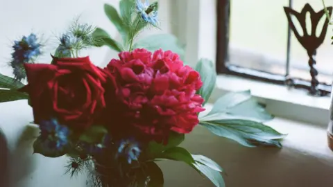 Gemma Briggs Close up of a vase with a rose, red flower and green leaves. It sits on a white windowsill next to a closed window.