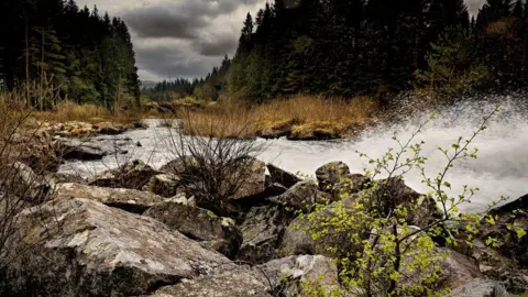 Getty Images Galloway