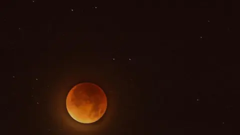 Peter Lennon An image of a blood moon, pictured against the black of the nights sky, with a few stars visible. 