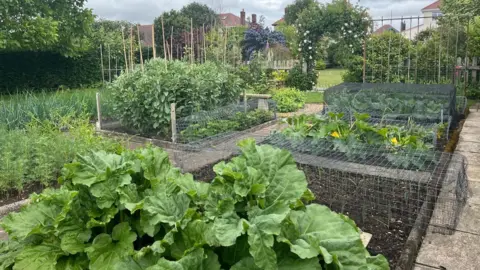 David Hines/Liz Kelly-Hines A large, well pruned vegetable patch with several different beds of soil all with different plants growing within. Some plants are protected by wire caging and others are tall and supported by sticks.