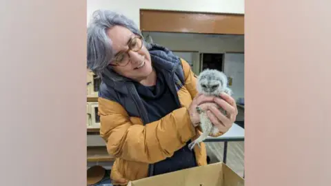 Craven Wildlife Rescue Craven Wildlife Rescue co-founder Penny Hunt as medium length grey hair and is holding a small fledgling bird in her hands