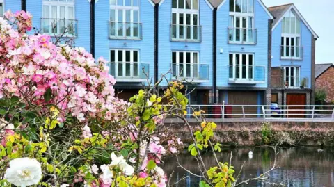 Joanna Kaczorowska Blue houses behind a flower bush 