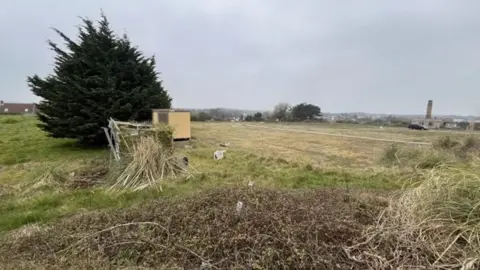 BBC Pointues Rocques, a large field with a tree in it
