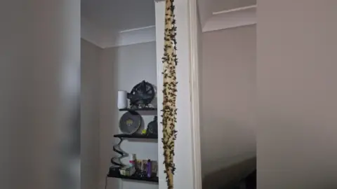 LDRS Loads of flies stuck to traps in a house