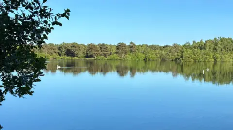 A serene, calm lake under a blue sky