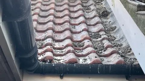 Darren Rozier/BBC A tiled roof that is covered in bird mess.