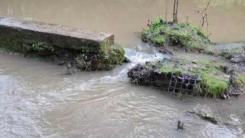 Kate Spreadbury Brown water flows between a gap in a river wall. On one side is a concrete barrier, on the other a muddy deteriorating bank. Stunted vegetation can be seen on both sides. 