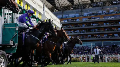 Getty Images A general view of Royal Ascot with horses coming out of the traps before a race at Royal Ascot in June 2025.
