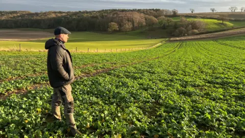 BBC Farmer Oliver Collingham standing in a field of winter crops. The green vegetation stretches off into the distance as he looks across it. 