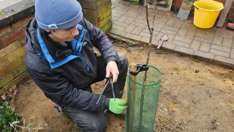 March Community Orchard A young man kneeling next to a freshly planted sapling. He is wearing a blue beanie hat, black rain jacket, black trousers and a green gardening glove. He is holding cable ties. The sapling is partially encased by a green metal cage. Underneath is sand-coloured dirt. Behind him is a section of garden wall and a garden pathway made of brick.