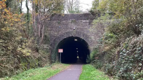 A section of Bristol to Bath Railway Path, running through an old railway tunnel.