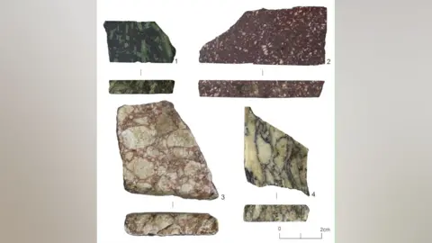 Colchester Archaeological Trust Eight pieces of Roman marble lie on a white background. They vary in size and colour, including reds, blues and yellows.