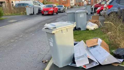 A series of silver bins, positioned at the side of a road with parked cars in the distnace and on driveways, are surrounded by open bags of rubbish and cardboard boxes.
