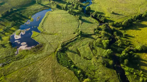 An aerial view of a very green landscape with trees and pasture and to the right a very large pond 
