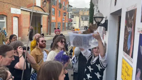 Josh McLaughlin / BBC Elodie Grenville holds up her cat, Pixie, in a transparent box raised high for passers-by on the tour. The crowd reads the posters stuck to the outside of her Brighton house, one of which reads "50% tabby, 50% Bengal". Some take photos. Others look at the various pictures of Pixie on the wall, including a "selfie" with the cat wearing shades and a tie.