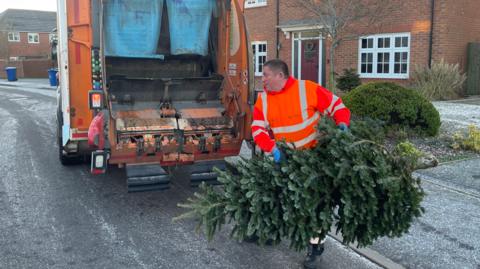 Christmas tree collected for recycling