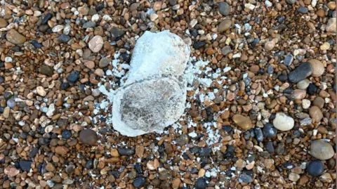 Jenny Binfield A picture taken from above of a white, waxy substance on a pebble beach