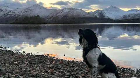 Charles Parker Snow covered fells rise above Derwentwater and reflect in the lake. A black and white dog is sitting on the shore.