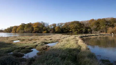 Ben Wood Ground level view across the inlet and an area of boggy marshland. 