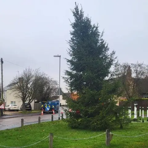 Yaxley Parish Council Wonky Christmas tree on Yaxley village green