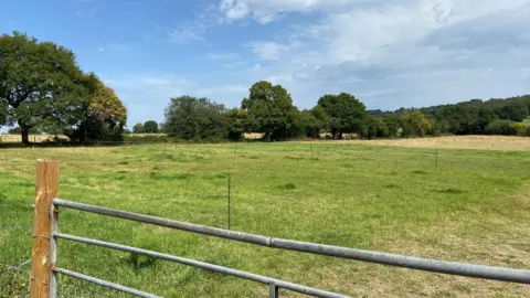 LDRS A green field with lots of trees as pictured from behind a fence.