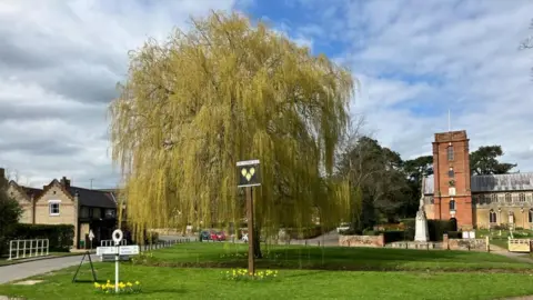 Vikki Irwin/BBC A village green with a sign post and daffodils, a willow tree and church. 