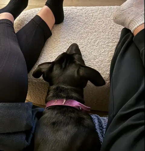 Wings and Paws Rescue Jet