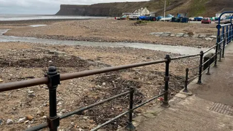 An area of black railings is missing several joints between posts. The beach is covered in sticks and boats can be seen in the background with buildings and a cliff coastline even further back.