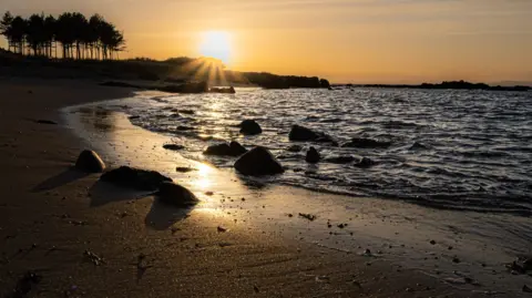 Steph Virot A sunset shining down on a beach