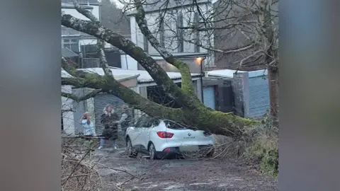 Beverley Hollis A white car crushed by a falling tree, as three people stand around speaking