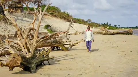 Mangrove trees along the banks of Kibini