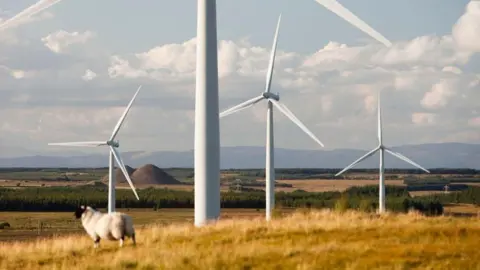 Getty Images A solitary sheep with wind farms in the background