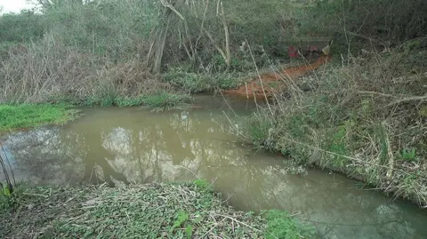 A brook that carries drainage water to the Mersey estuary where tests are taking place for toxic waste near Frodsham, Cheshire.