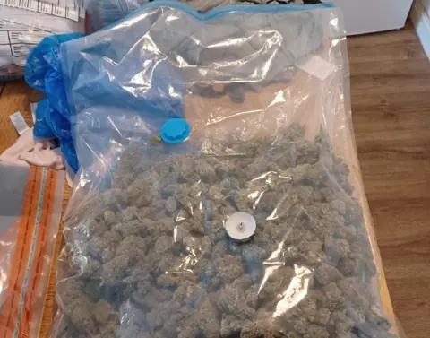 Nottinghamshire Police Cannabis raid