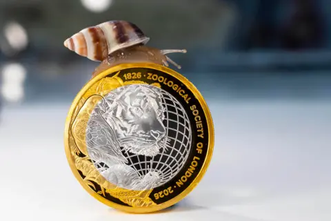 PA Media A £2 gold and silver coin featuring a tiger and a dove with a Partula snail on top