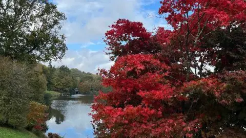 SteveSpurs A fiery-red acer stands in the foreground, to the right. There is a bank of green grass and trees to the left with a stretch of water behind and more autumnal trees in the background. The sky above is blue with thin cloud-cover.