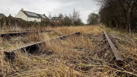 Yellow, overgrown grass on some land with old railway lines placed on top of them. It shows an old railway line track and there's some houses in the background.