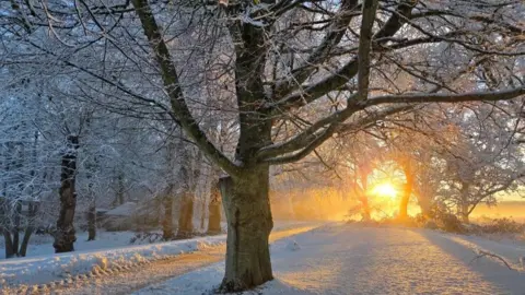 Winter sunset