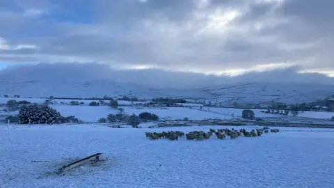 New ice warning after schools and transport disrupted 22 A flock of sheep in a field covered in snow with hills in the background and white fluffy clouds.