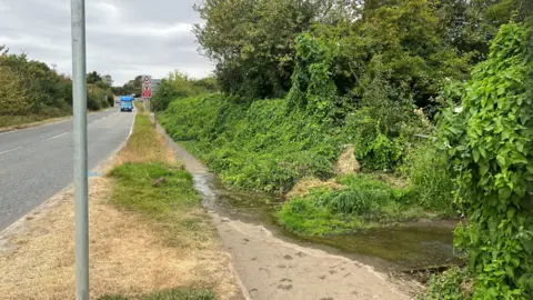 The A151 - a road with high hedgerows on either side. A blue van is driving towards the camera and there is a road sign warning of an upcoming junction. The grass is dry and yellow except for a patch on the verge where water can be seen running along the path and away into woodland on the left. 