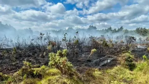 Surrey Fire and Rescue Service An area of land in Chobham Common, Surrey, following a wildfire. Smoke is visibly rising from a burned patch of land in this image.